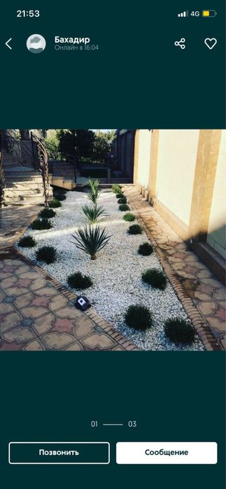 Газон и автополив