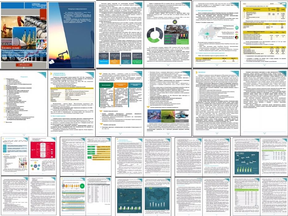 Бизнес план, ТЭО разработка - 35 тыс. тг