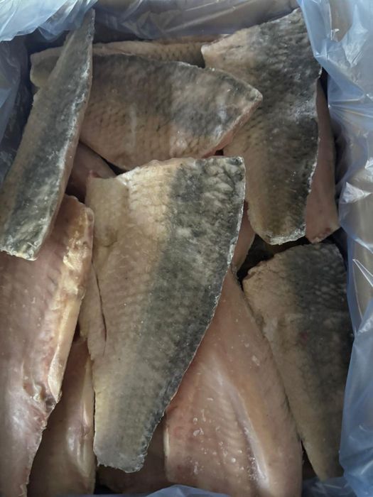 Рыба ВКО озеро Зайсан