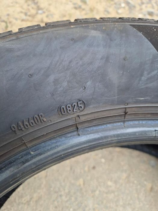 Летние шины Pirelli