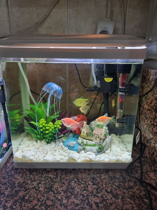 Продам два аквариума