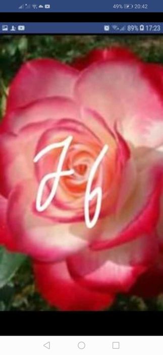 За всеки по нещо