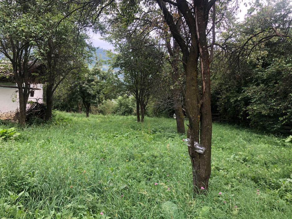 Teren intravilan de vanzare