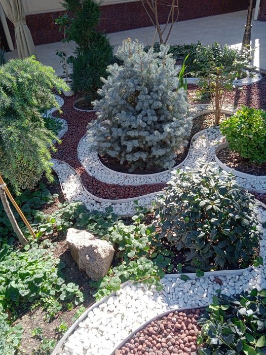 Ландшафт дизайн газон хизмати