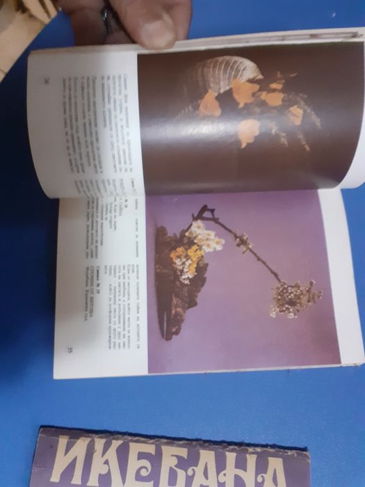 Книги помагала за изкуството  икебана,книга