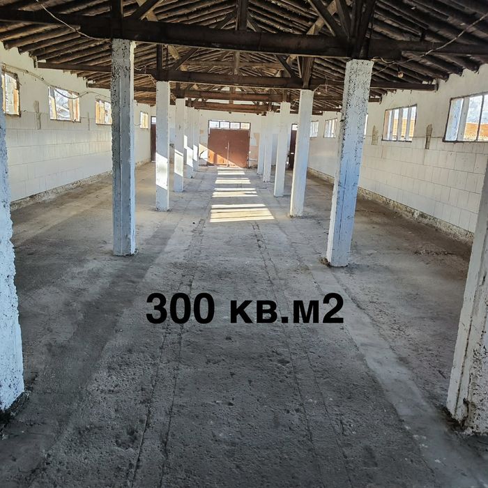 Давам Под наем 2 Халета с 5 дка. Двор + 2 рибарника