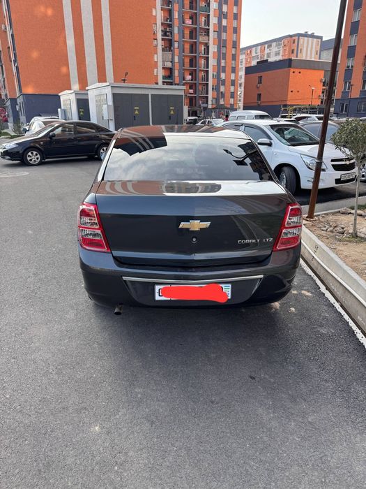 Собалт 2025/2026