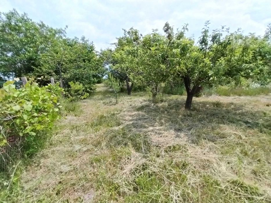 Продава се Парцел в Варна, Нептун - 700 кв.м за 22 €/кв.м - Снимка #5