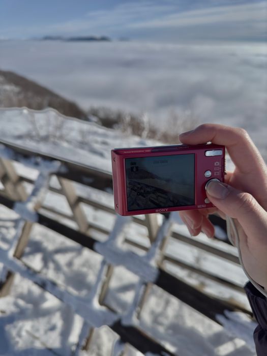 Sony Cyber-shot DSC-W830