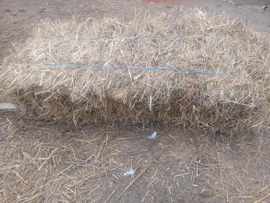 Vând baloți de fân