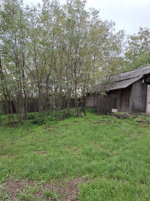 Teren si casa Prisecani, com Boghesti