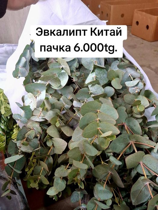 Розы, спрей-розы, гортензия, лизиантус, хризантема, эвкалипт Алматы!