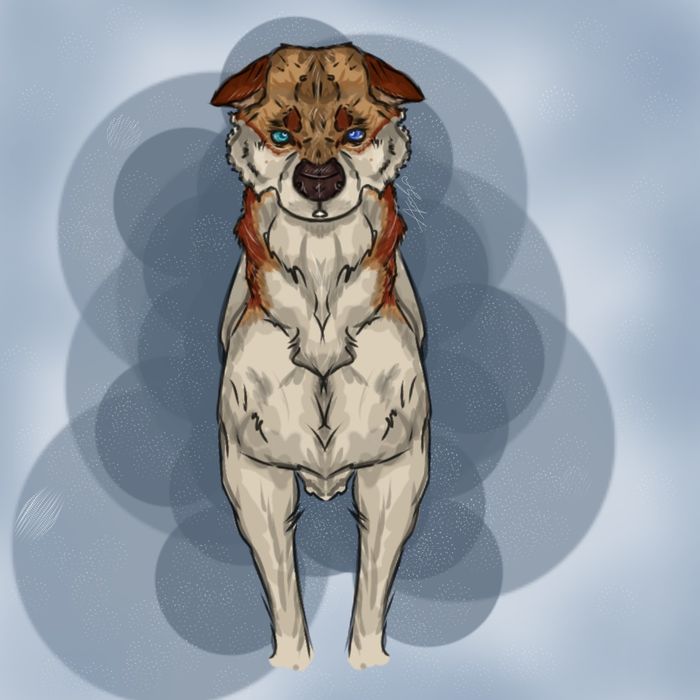 Художественные Арты животных