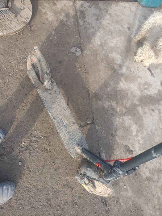 Trotineta electrica Siver 10 Plus