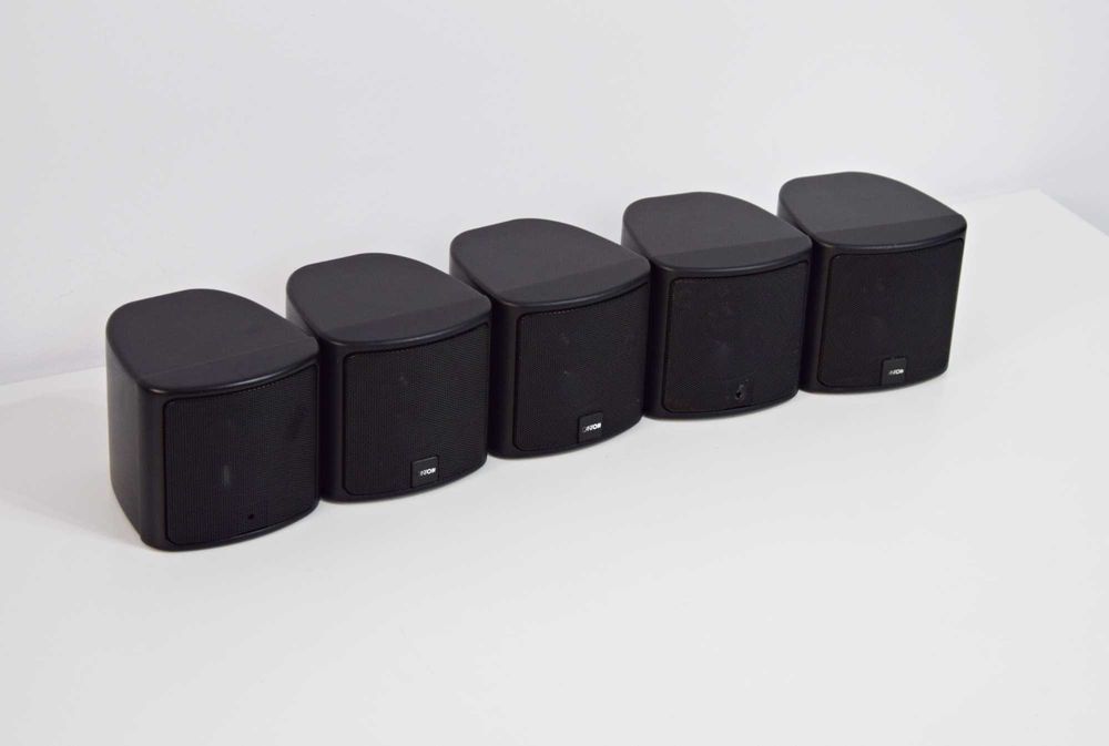 Boxe Canton R 100, sateliti
