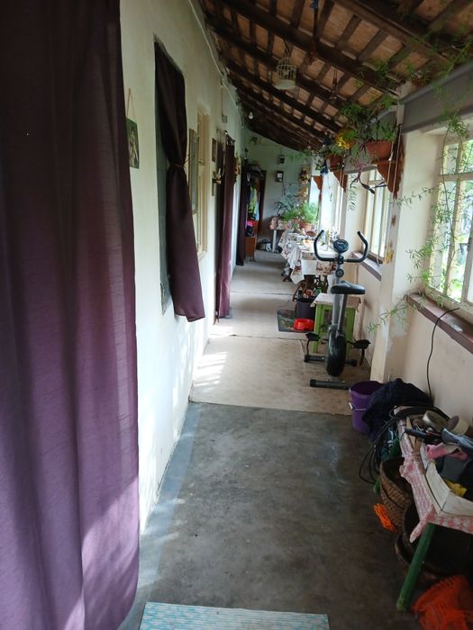 Casă de vânzare in comuna Olari judetul Arad