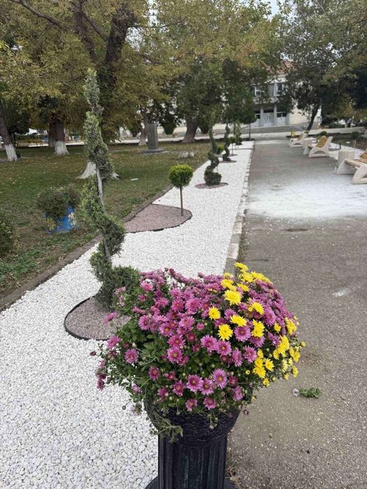 Доставка Бял чакъл от Бял камък за украси и декорации