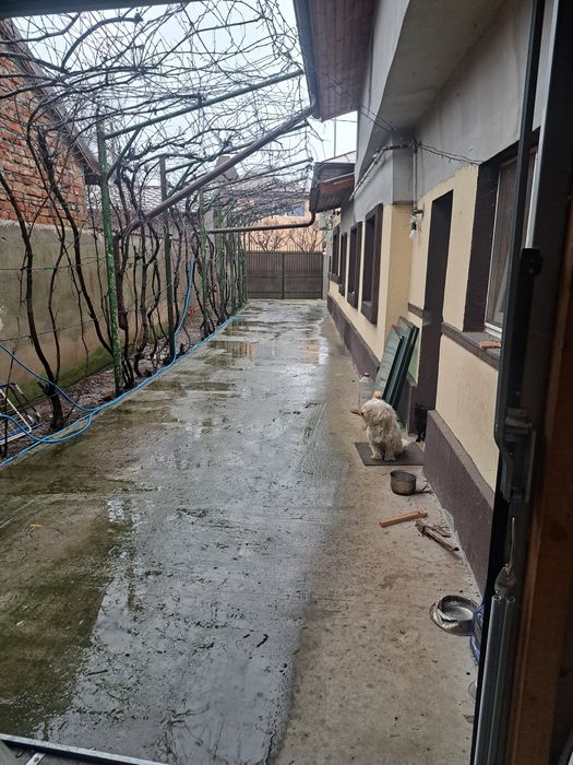 Militari Chiajna între case  casa 4 camere din caramida 460mp