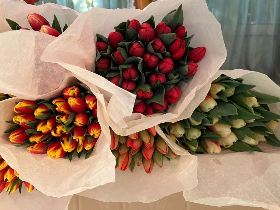 Тюльпаны оптом и в розницу  на 8 марта!!