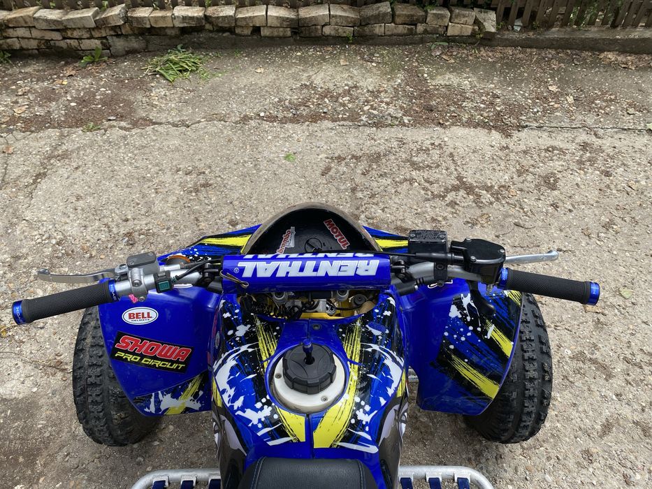 Gas Gas Wild HP 450 atv атв