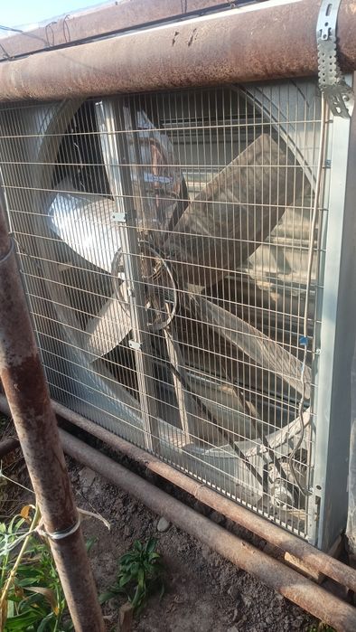 Teplitsiya oxlajdeniya