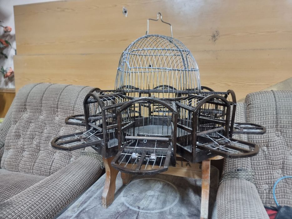 Chertma Qafas 8 talik