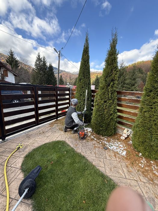 Curatare pomi fructiferi, tuya, plante ornamentale, irigatii