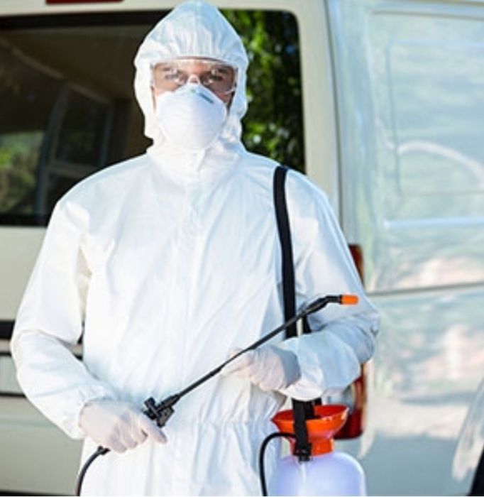 Дезинфекция дератизация