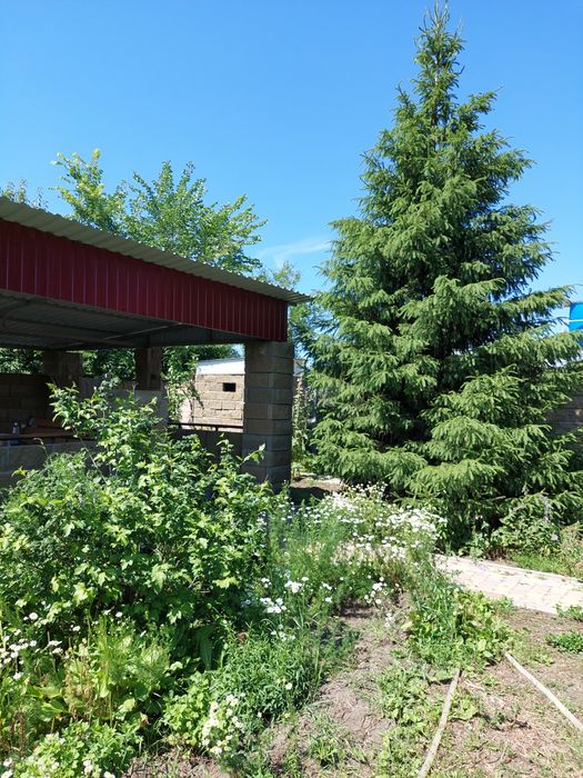 Дача общество Железобетонщик