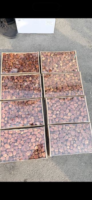 Сукари , курма, финики, рамадан