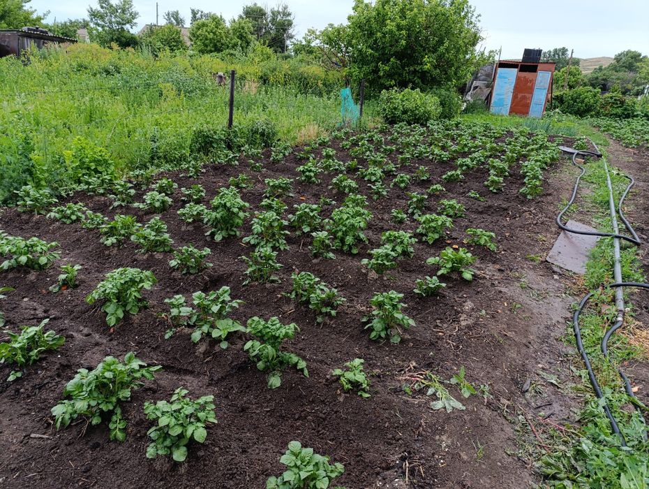 Продам дачу на 16 км идеал