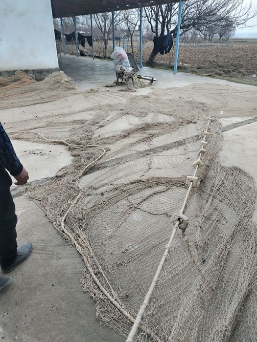 Lotka, suv mator, Liviviotka, Suzma tor