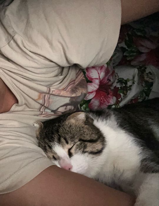 Отдам кота в добрые руки!!!