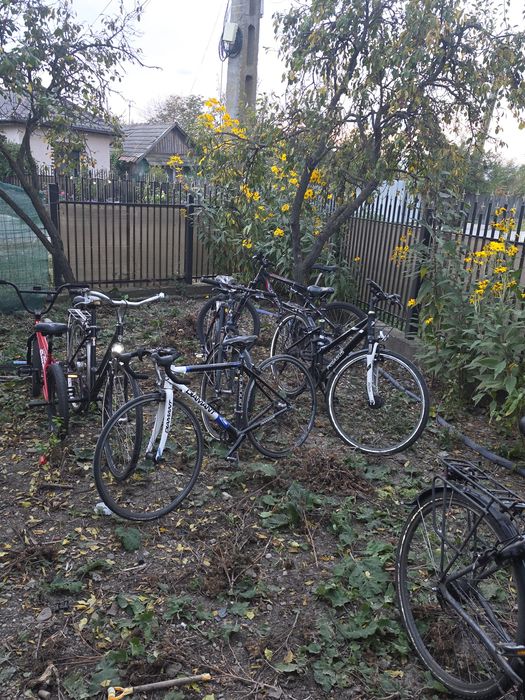 Biciclete nemțeşti