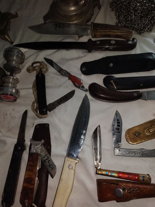 Капкан пищеварочный кател дамас часы