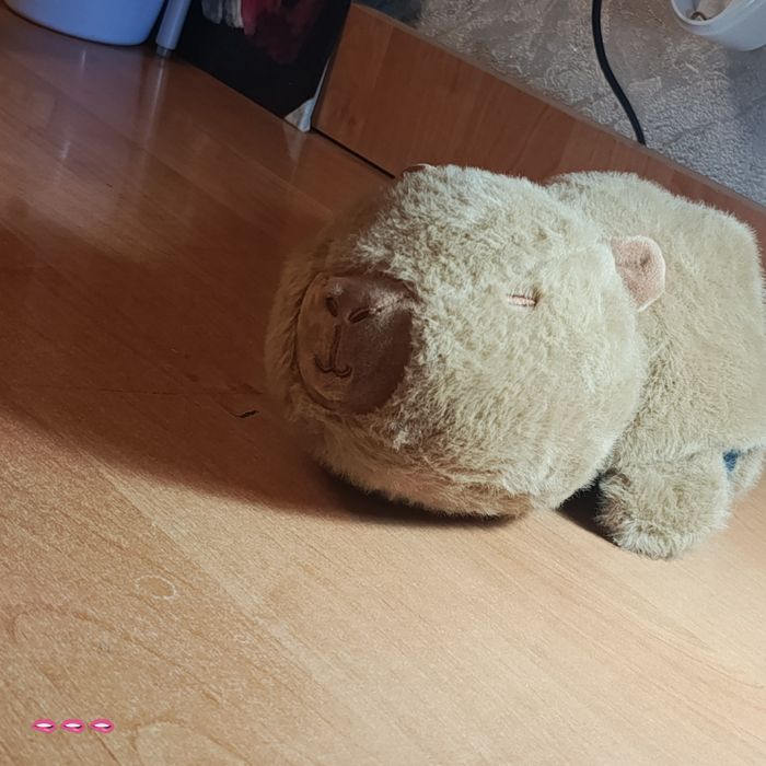 Плюшевая игрушка