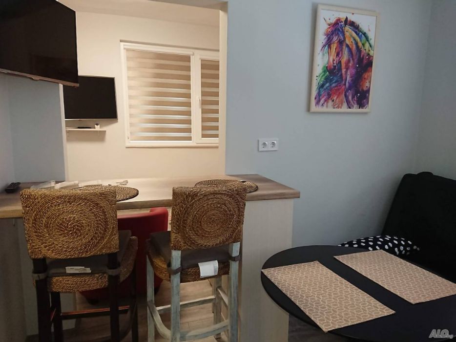 Дава се под наем Двустаен апартамент в Пловдив, Каменица 1 - 45 кв.м за 350 € - Снимка #1