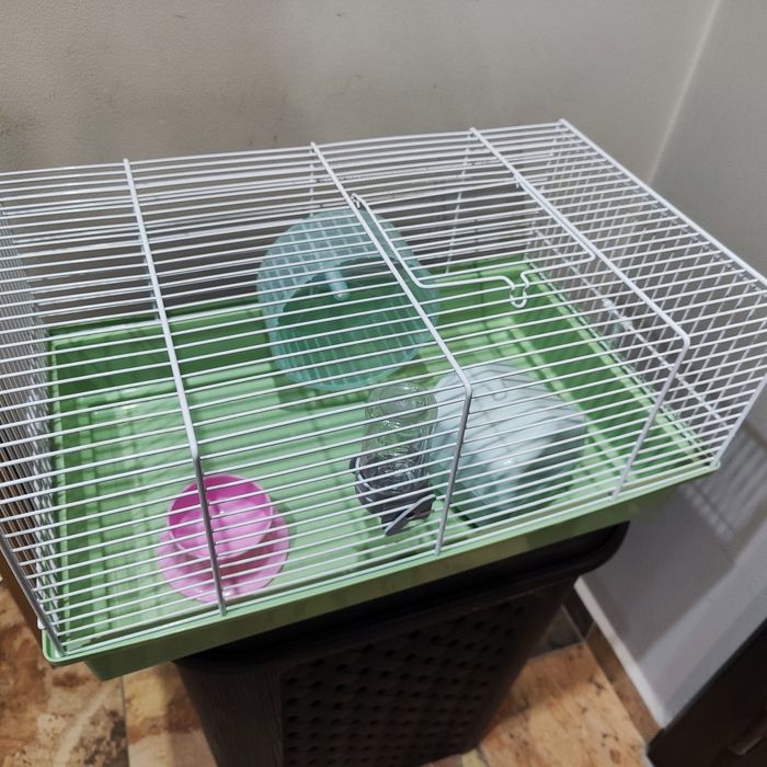 Клетка за гризачи, хамстер