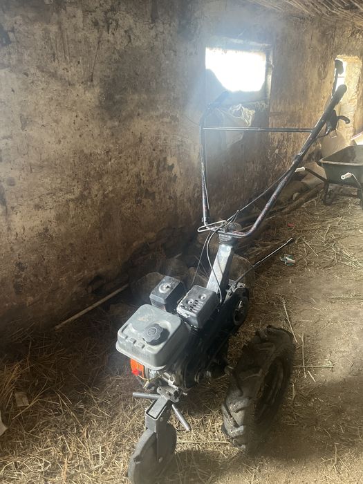 Vand motocultor cu sape sau schimb cu gaste si curci curcani