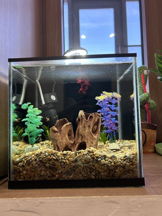 Готовый Аквариум с рыбкой на 25 литров