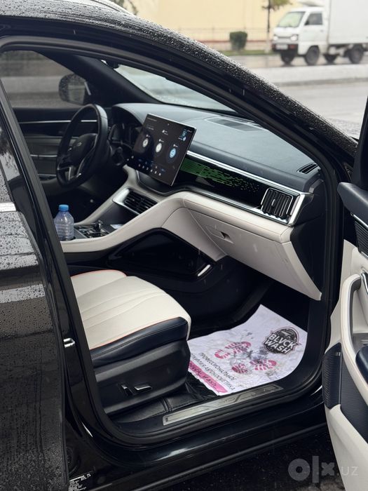 BYD chempion elektr