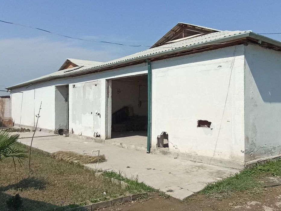 Issiqxona omborxona va yordamchi xo`jalik