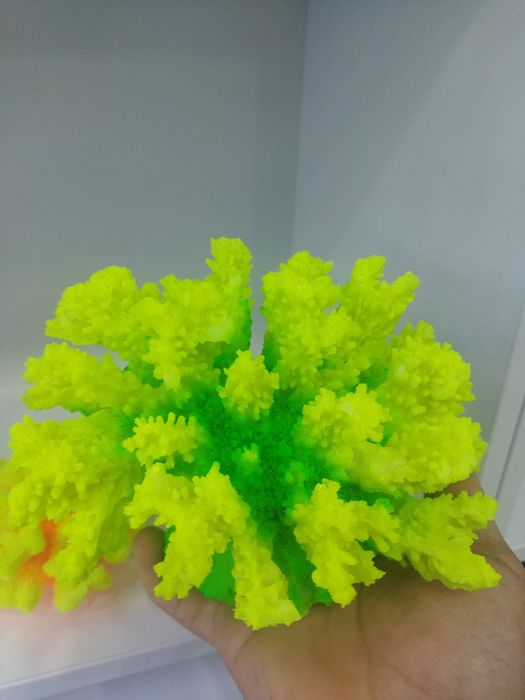 Akvarium va baliqlar Doʻkoni