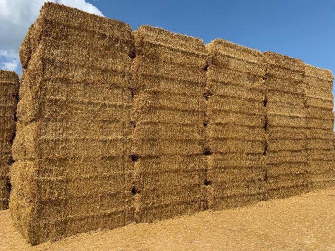Продавам висококачествени бали - слама