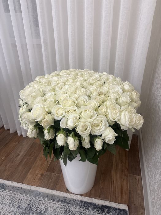 Продам белые розы 151шт