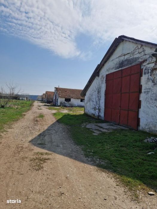 Ferma de vanzare 8 ha – Bals, judetul Olt