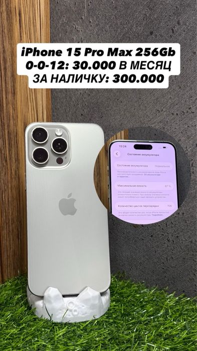 iPhone от 11 до 16