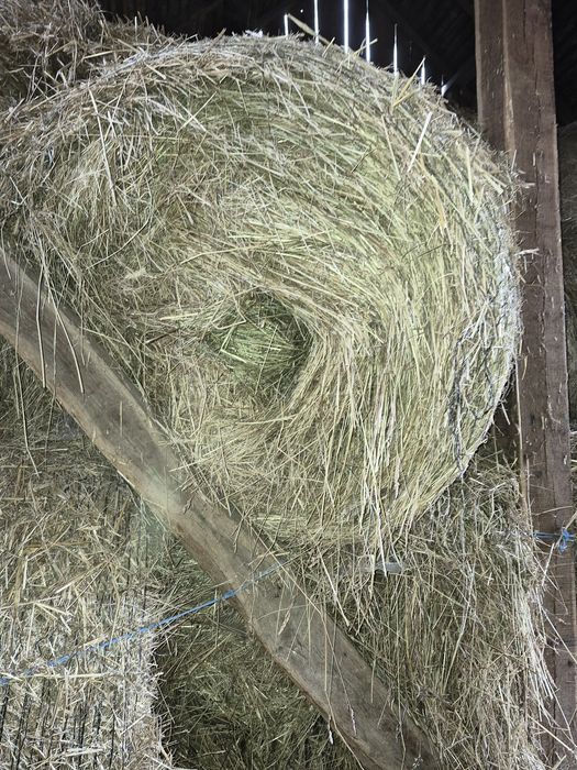 Baloti rotunzi mari de fan 120x120 dimensiune si baloti mici de paie