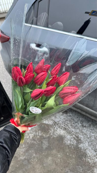 Тюльпаны Шахтинск