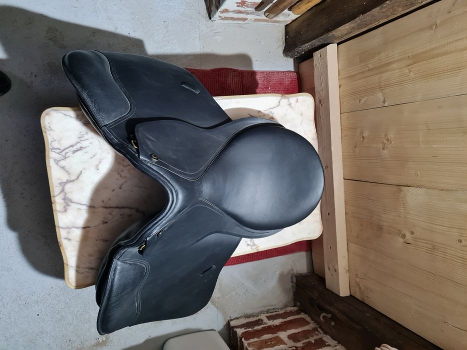 Vand Articole Calarie Sei de la 350 euro